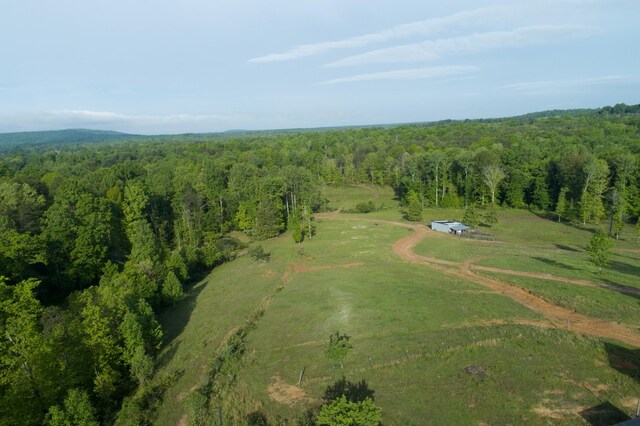 40A Barker Cove Loop, Palmer, TN 37365 - bird's eye view of a forest