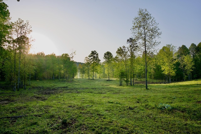 40A Barker Cove Loop, Palmer, TN 37365 - view of yard with a forest view