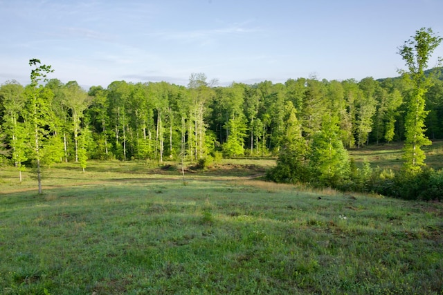 40A Barker Cove Loop, Palmer, TN 37365 - view of yard with a forest view