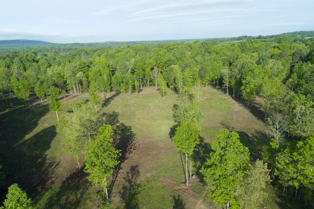 40A Barker Cove Loop, Palmer, TN 37365 - drone / aerial view of a heavily wooded area