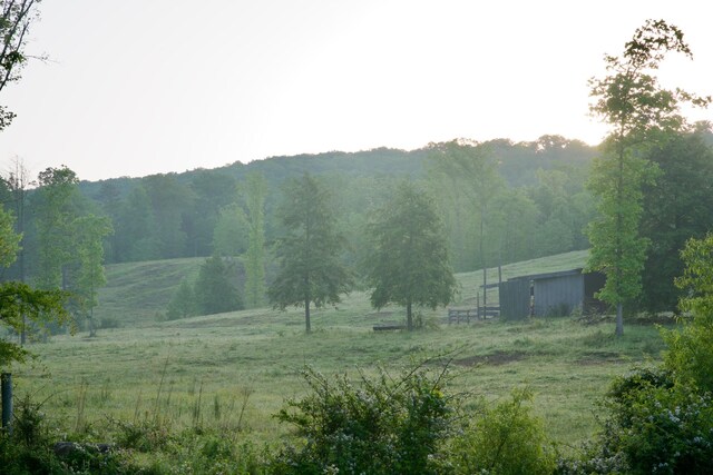 40A Barker Cove Loop, Palmer, TN 37365 - view of mountain background featuring rural landscape