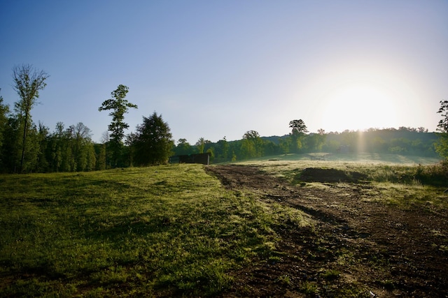 40A Barker Cove Loop, Palmer, TN 37365 - view of local wilderness with rural landscape
