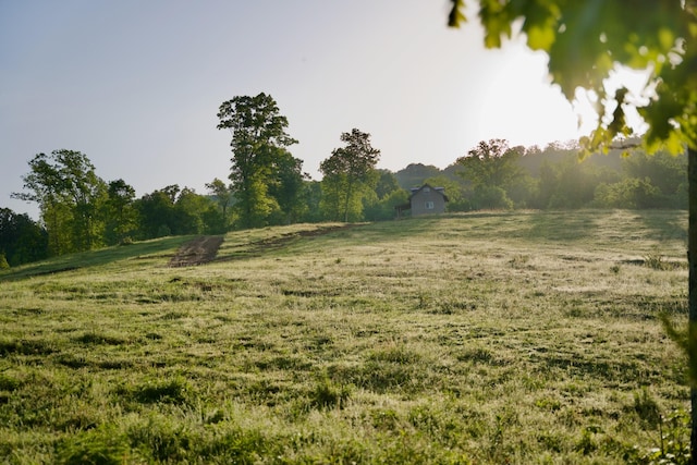 40A Barker Cove Loop, Palmer, TN 37365 - view of yard with a view of rural / pastoral area