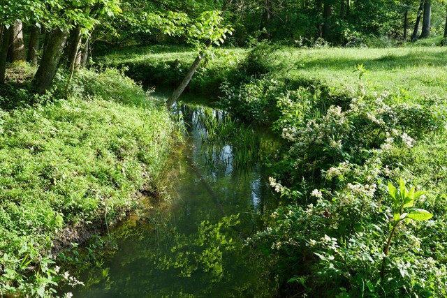 40A Barker Cove Loop, Palmer, TN 37365 - view of local wilderness