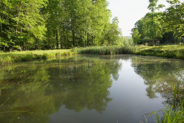 40A Barker Cove Loop, Palmer, TN 37365 - water view