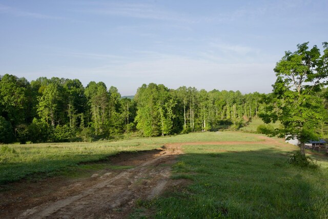 40A Barker Cove Loop, Palmer, TN 37365 - view of dirt / gravel road featuring a view of rural / pastoral area