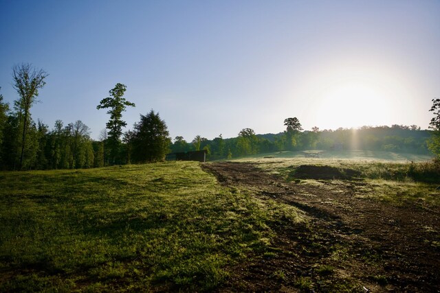 40A Barker Cove Loop, Palmer, TN 37365 - view of local wilderness with rural landscape