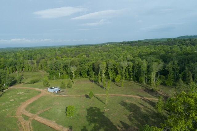 40A Barker Cove Loop, Palmer, TN 37365 - drone / aerial view of a forest