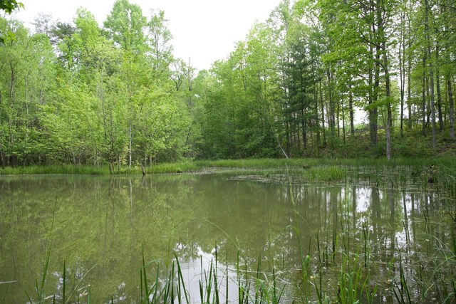 40A Barker Cove Loop, Palmer, TN 37365 - water view featuring a heavily wooded area