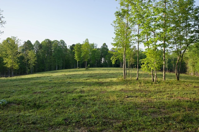 40A Barker Cove Loop, Palmer, TN 37365 - view of tree filled area