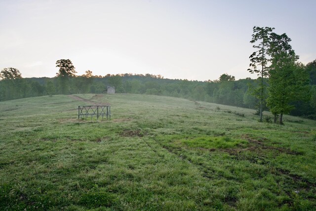 40A Barker Cove Loop, Palmer, TN 37365 - view of yard with a view of countryside