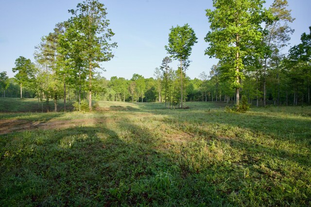 40A Barker Cove Loop, Palmer, TN 37365 - view of yard with a view of trees