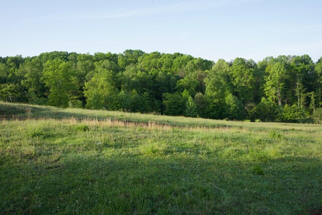40A Barker Cove Loop, Palmer, TN 37365 - view of woods