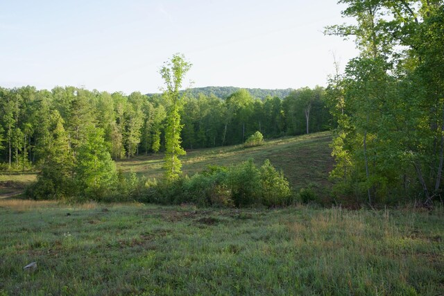 40A Barker Cove Loop, Palmer, TN 37365 - view of tree filled area