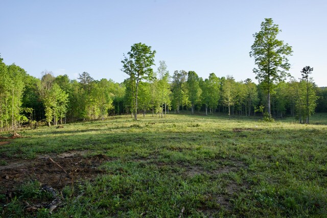40A Barker Cove Loop, Palmer, TN 37365 - view of wooded area