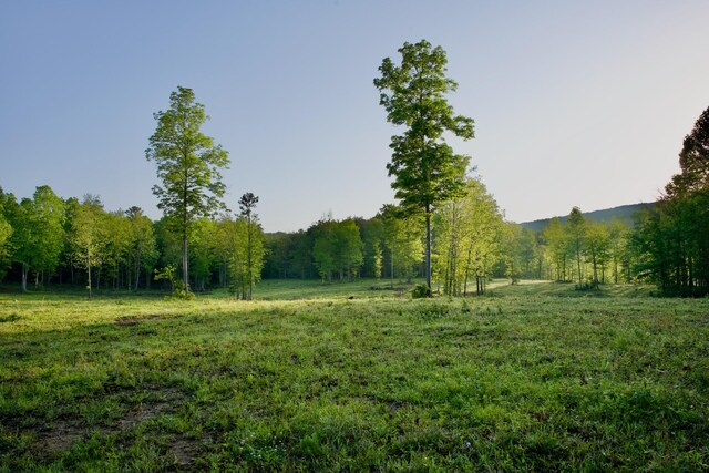40A Barker Cove Loop, Palmer, TN 37365 - view of wooded area featuring a rural view