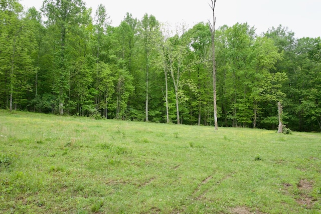 40A Barker Cove Loop, Palmer, TN 37365 - view of wooded area