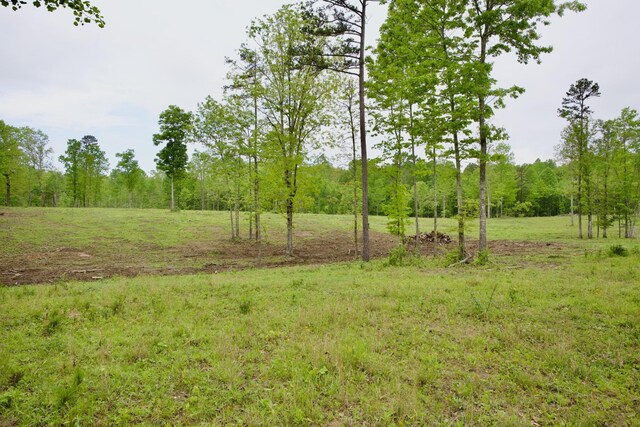 40A Barker Cove Loop, Palmer, TN 37365 - view of yard with a forest view
