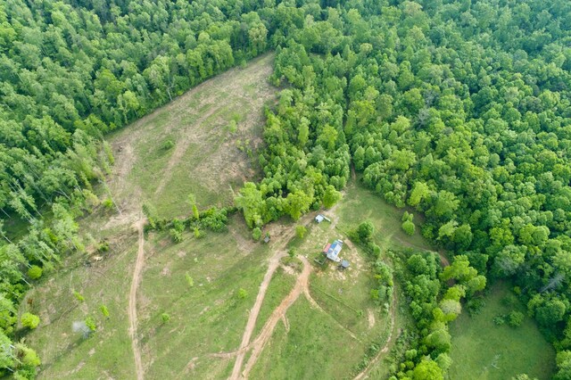 40A Barker Cove Loop, Palmer, TN 37365 - aerial view of property's location