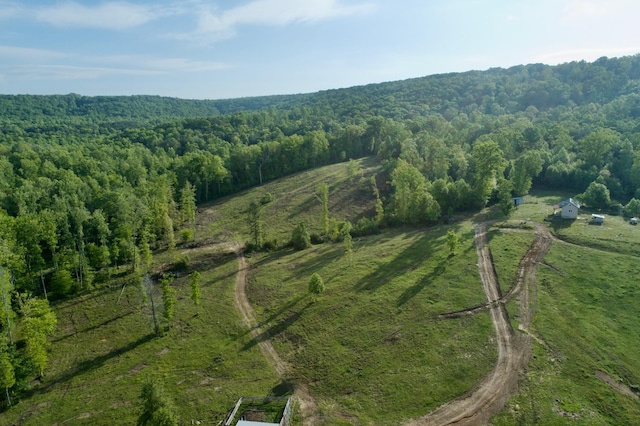 40A Barker Cove Loop, Palmer, TN 37365 - view of property location featuring a heavily wooded area and rural landscape
