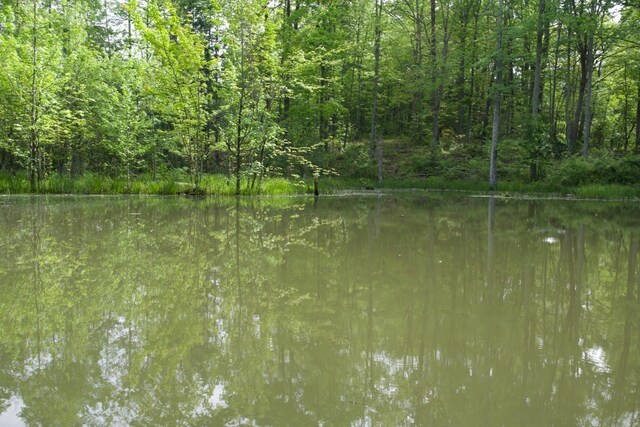40A Barker Cove Loop, Palmer, TN 37365 - water view featuring a heavily wooded area