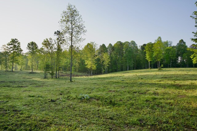 40A Barker Cove Loop, Palmer, TN 37365 - view of woods