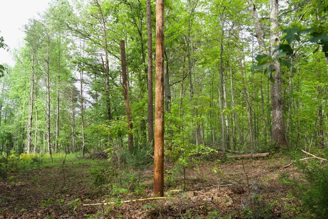 40A Barker Cove Loop, Palmer, TN 37365 - view of wooded area
