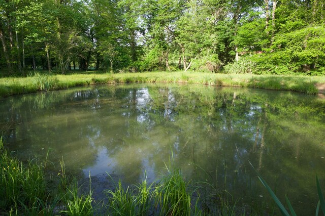 40A Barker Cove Loop, Palmer, TN 37365 - water view with a heavily wooded area