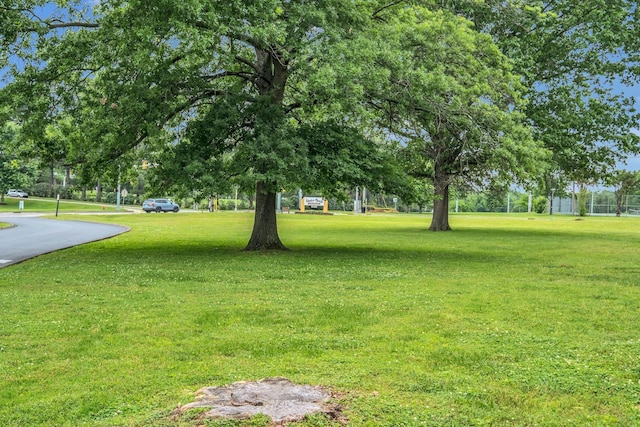 1301 Neelys Bend Rd Unit A10, Madison, TN 37115 - view of green lawn
