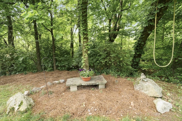 4019 Fremantle Cir, Spring Hill, TN 37174 - view of yard