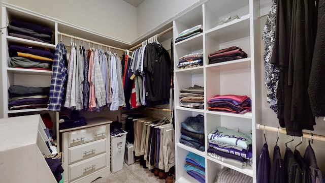 4019 Fremantle Cir, Spring Hill, TN 37174 - walk in closet featuring carpet floors