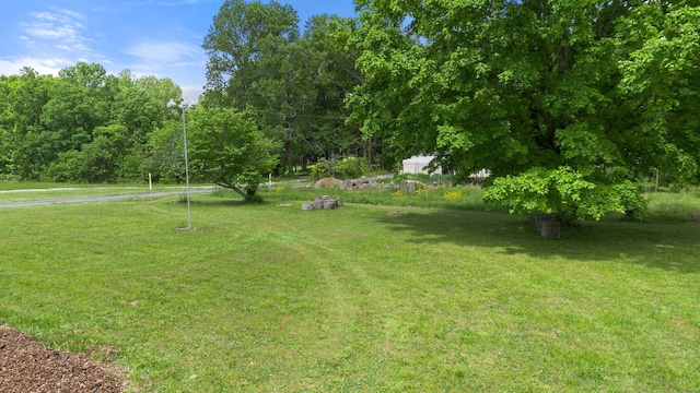 5933 Higdon Rd, Joelton, TN 37080 - photo 44