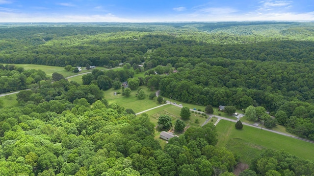 5933 Higdon Rd, Joelton, TN 37080 - photo 59