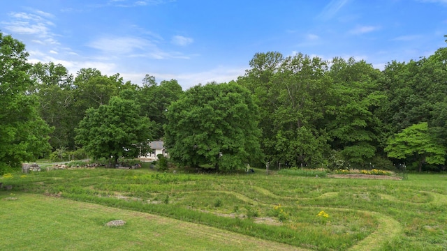 5933 Higdon Rd, Joelton, TN 37080 - photo 48