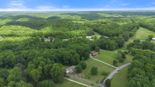 5933 Higdon Rd, Joelton, TN 37080 - photo 61