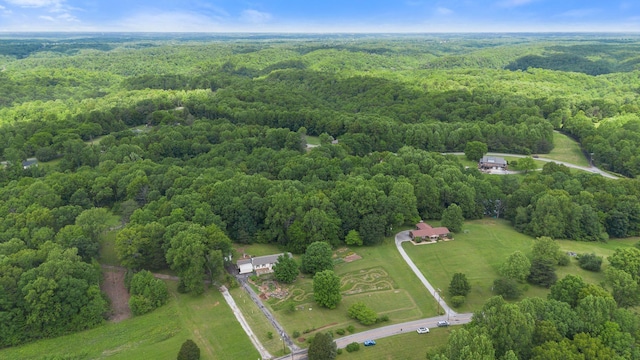5933 Higdon Rd, Joelton, TN 37080 - photo 51