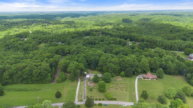 5933 Higdon Rd, Joelton, TN 37080 - photo 53