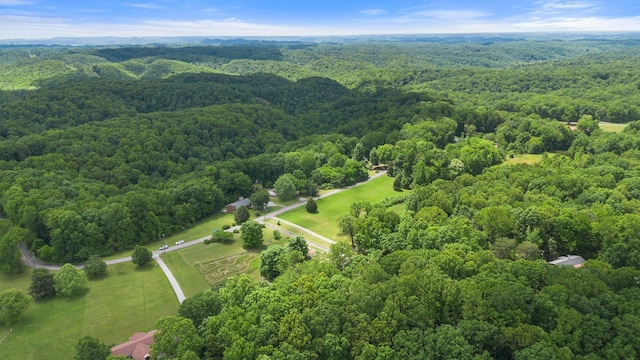 5933 Higdon Rd, Joelton, TN 37080 - photo 57