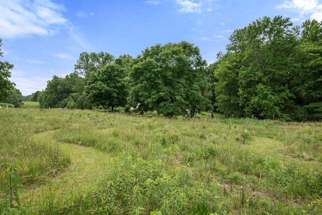 5933 Higdon Rd, Joelton, TN 37080 - photo 4