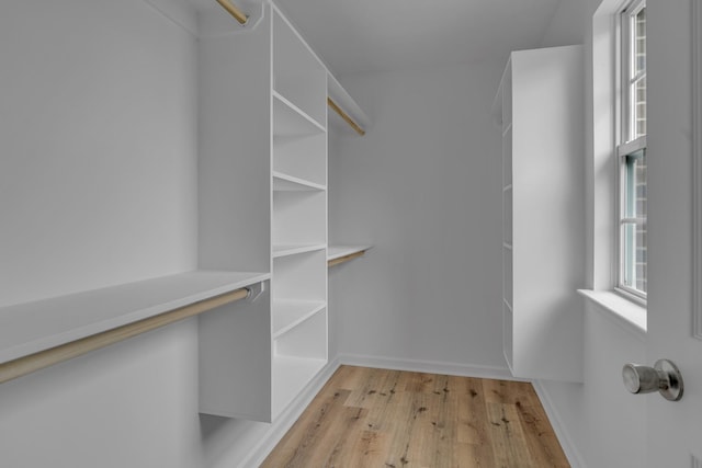 408 Jordan Leigh Ct, Joelton, TN 37080 - spacious closet with light wood-type flooring