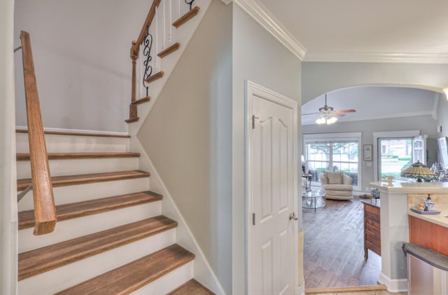 236 Danoher Walk, Murfreesboro, TN 37128 - stairway featuring crown molding, wood finished floors, arched walkways, and a ceiling fan
