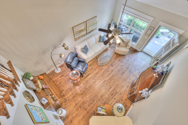236 Danoher Walk, Murfreesboro, TN 37128 - living area featuring wood finished floors and crown molding