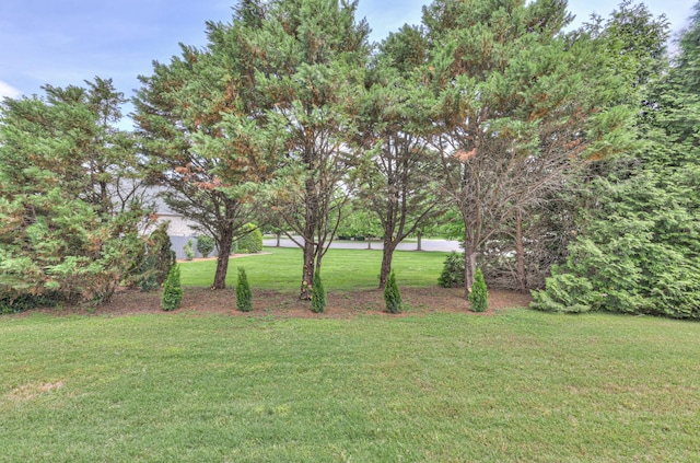 236 Danoher Walk, Murfreesboro, TN 37128 - view of green lawn
