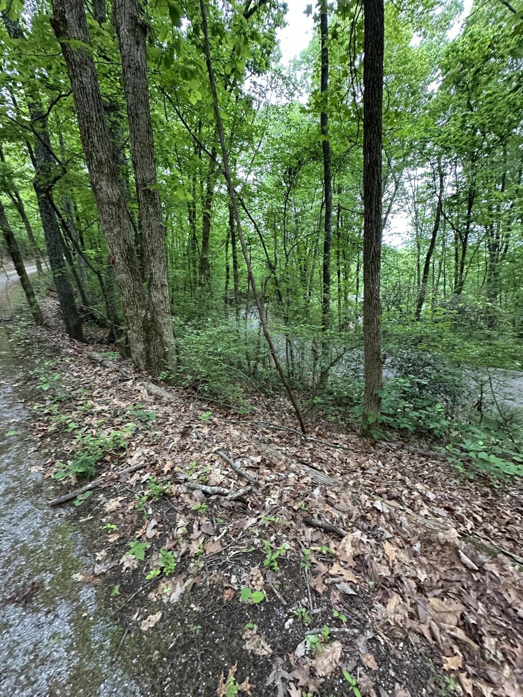 0 Wheeler Ave, Chattanooga, TN 37406
