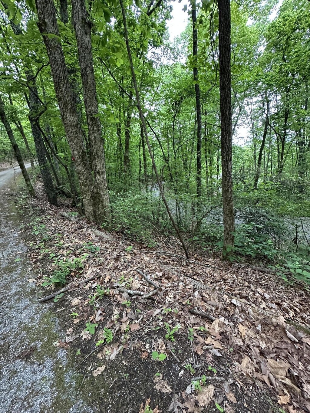 0 Wheeler Ave, Chattanooga, TN 37406