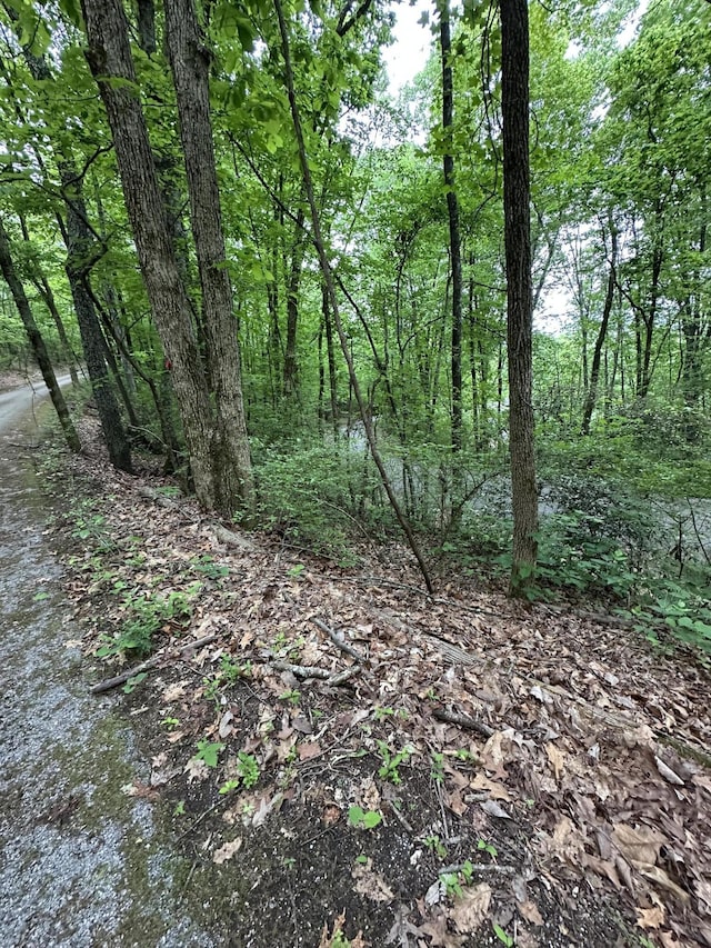 0 Wheeler Ave, Chattanooga, TN 37406