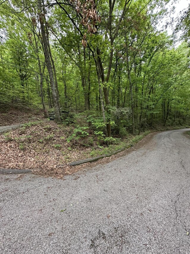 0 Wheeler Ave, Chattanooga, TN 37406
