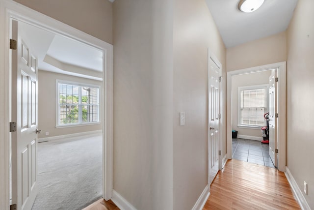 hall with baseboards and wood finished floors