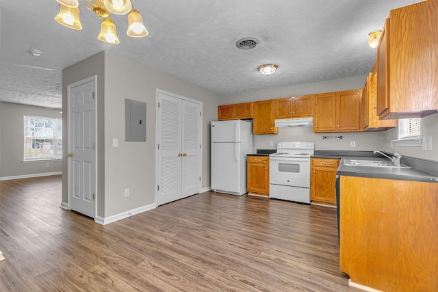 1514 Center Pointe Dr, Murfreesboro, TN 37130 - kitchen with white appliances, a sink, under cabinet range hood, electric panel, and wood finished floors