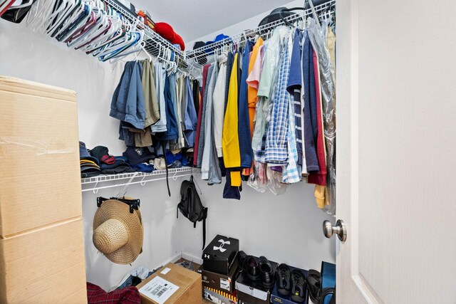 845 Nandina Ct, Clarksville, TN 37043 - view of walk in closet